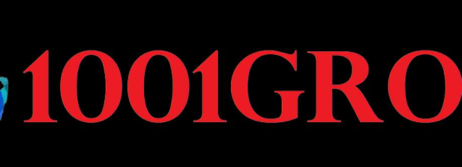 1001GROUP LTD Cover Image